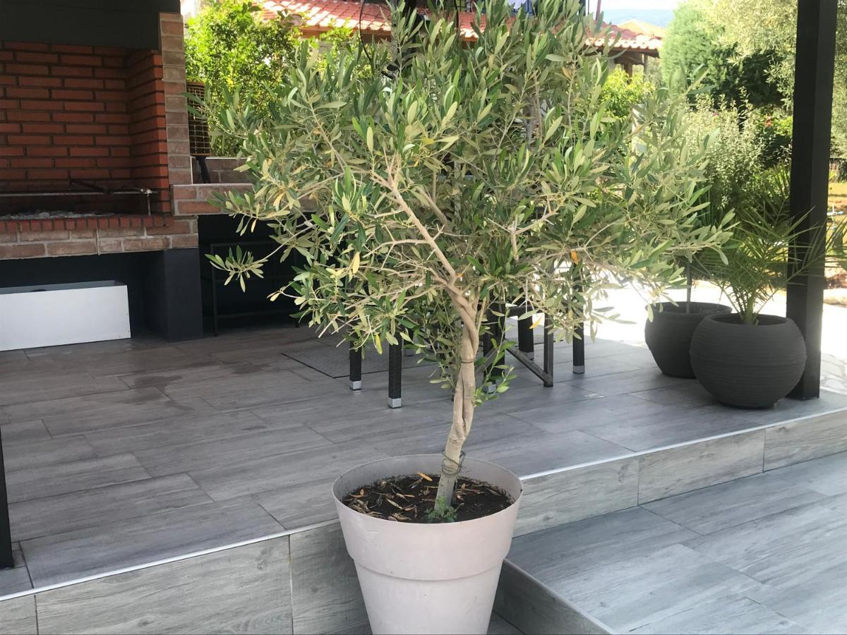 אספרובלטה Terra Holiday Homes-Marigold מראה חיצוני תמונה